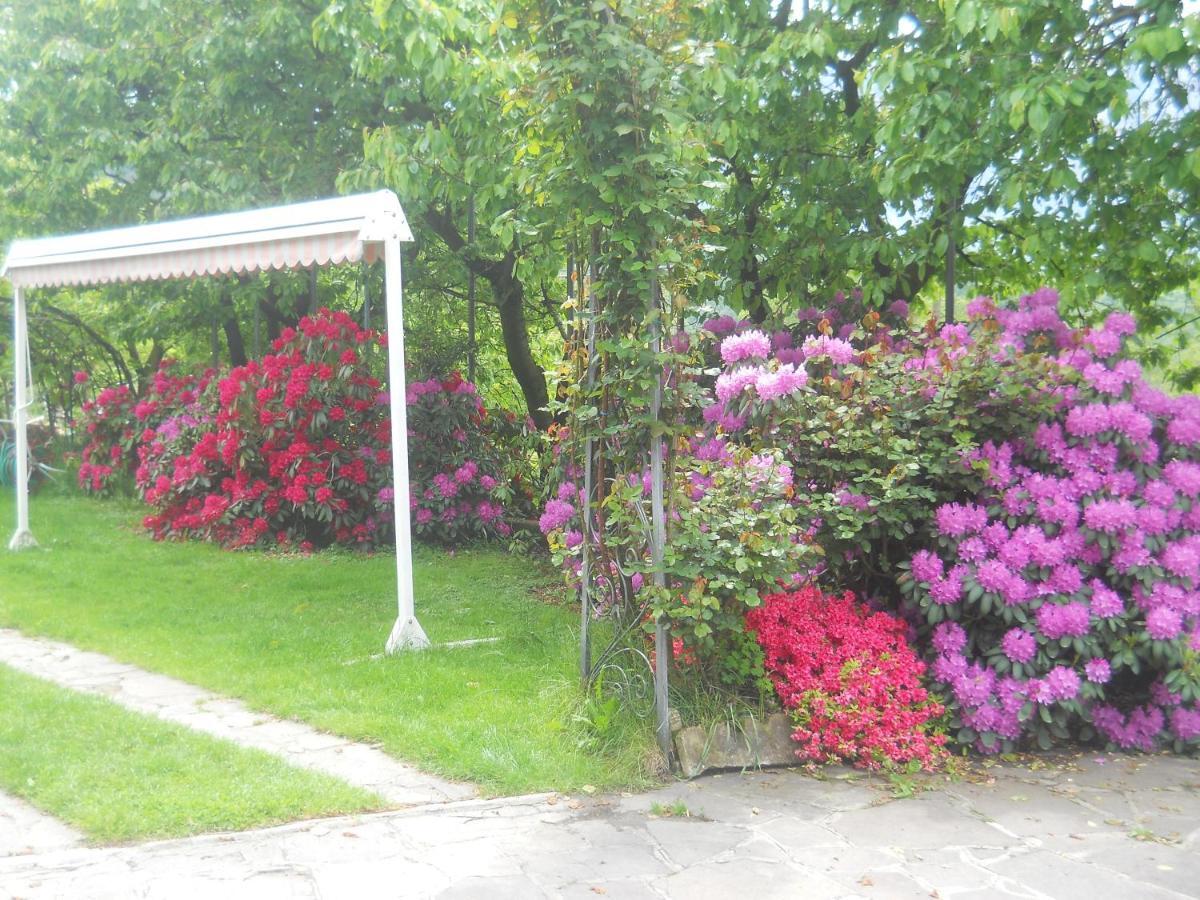 Albergo Negritella Borgo Valsugana Kültér fotó